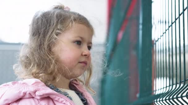 Mała Dziewczynka Dziecko Pobyt Sieci Wygląda Plac Zabaw Dziećmi Które — Wideo stockowe