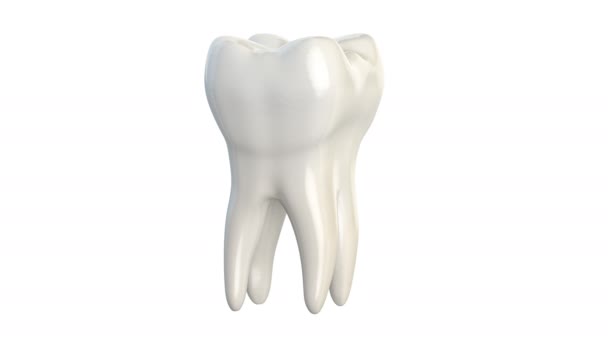 Вращение Зубов Изолированными Рядами Белом Защита Зубов Свежесть Стоматологической Концепции — стоковое видео