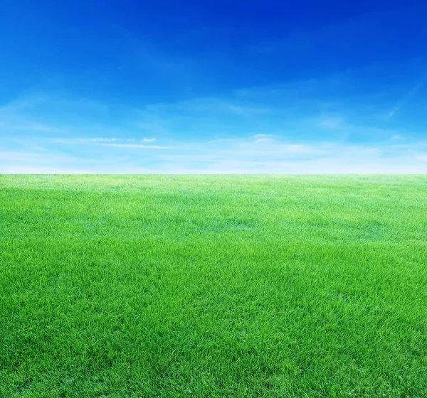 Зеленые Луга Голубым Небом Облаками — стоковое фото