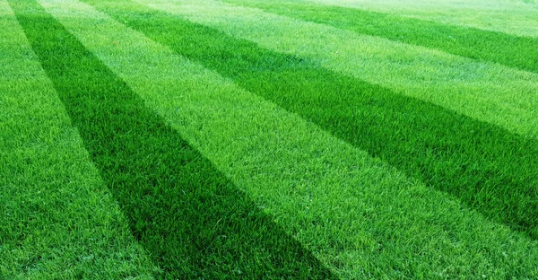 サッカー場の人工芝 — ストック写真
