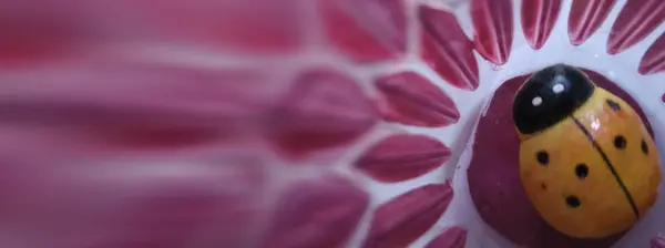 Coccinella Seduta Fiore Rosa — Foto Stock