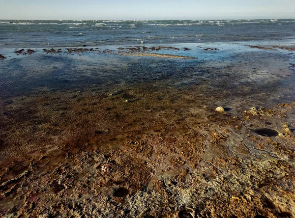 Sümpfiges Ufer Des Kaspischen Meeres Schmutzig Stinkende Meeresküste Kasachstan Mangistau — Stockfoto