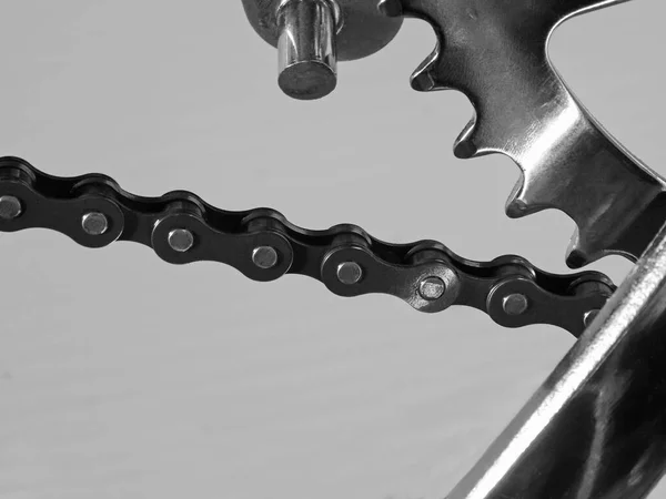 Bicycle pedal cranks. Close-up. Isolated on light gray background.