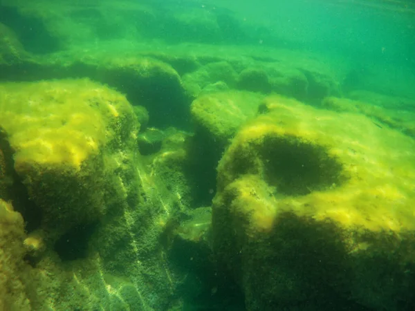 Unterwasserlandschaft Meer Kaspisches Meer Monat Juni 2021 Jahr — Stockfoto