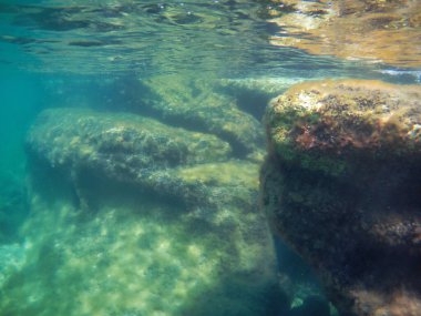 Denizde sualtı manzarası. Hazar Denizi. Haziran 2021 'de.