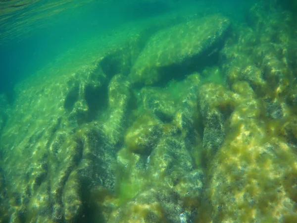 Unterwasserlandschaft Meer Kaspisches Meer Monat Juni 2021 Jahr — Stockfoto