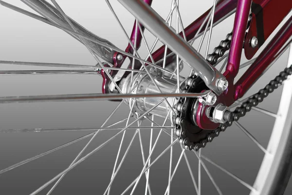 자전거 뒷바퀴 클로즈업 — 스톡 사진