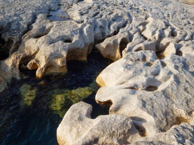 Hazar Denizi 'nin kayalık kıyısı. Sagyndyk Burnu. Kazakistan. Mangistau bölgesi. 2 Haziran 2021.