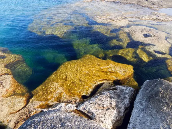 Hazar Denizi 'nin kayalık kıyısı. Sagyndyk Burnu. Kazakistan. Mangistau bölgesi. 13 Haziran 2023.