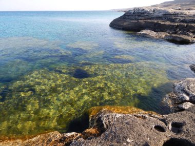 Hazar Denizi 'nin kayalık kıyısı. Sagyndyk Burnu. Kazakistan. Mangistau bölgesi. 13 Haziran 2023.