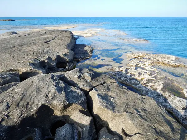 Hazar Denizi 'nin kayalık kıyısı. Sagyndyk Burnu. Kazakistan. Mangistau bölgesi. 13 Haziran 2023.
