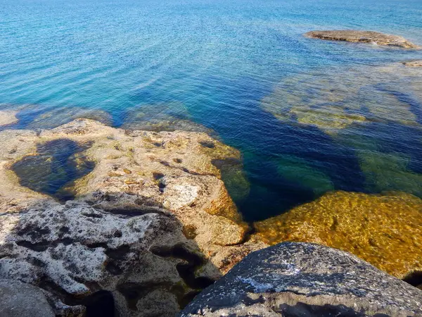 Hazar Denizi 'nin kayalık kıyısı. Sagyndyk Burnu. Kazakistan. Mangistau bölgesi. 13 Haziran 2023.