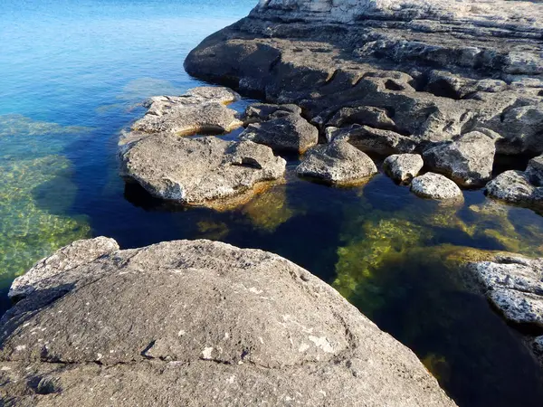 Hazar Denizi 'nin kayalık kıyısı. Sagyndyk Burnu. Kazakistan. Mangistau bölgesi. 13 Haziran 2023.