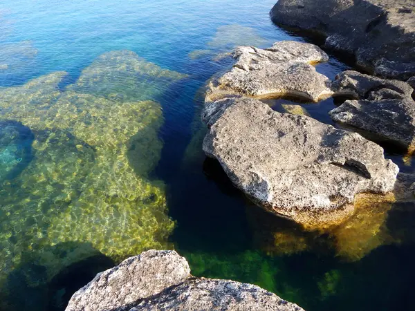 Hazar Denizi 'nin kayalık kıyısı. Sagyndyk Burnu. Kazakistan. Mangistau bölgesi. 13 Haziran 2023.