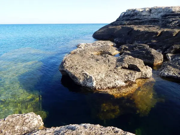 Hazar Denizi 'nin kayalık kıyısı. Sagyndyk Burnu. Kazakistan. Mangistau bölgesi. 13 Haziran 2023.