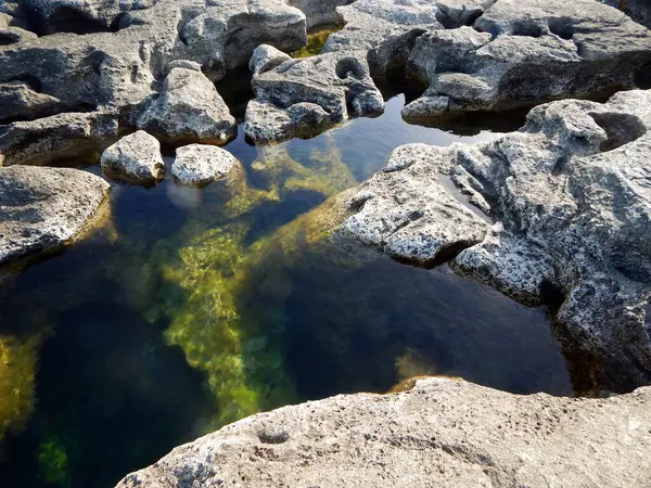Hazar Denizi 'nin kayalık kıyısı. Sagyndyk Burnu. Kazakistan. Mangistau bölgesi. 13 Haziran 2023.