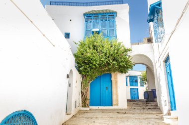 Sidi Bou Said köyü, Kartaca, Tunus
