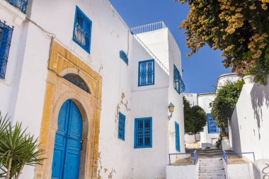 Sidi Bou Said köyü, Kartaca, Tunus