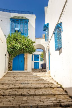 Sidi Bou Said köyü, Kartaca, Tunus
