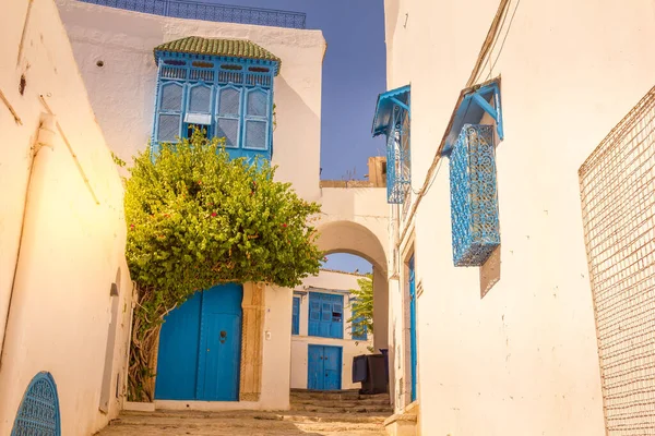 Деревня Сиди Саид Карфаген Тунис — стоковое фото