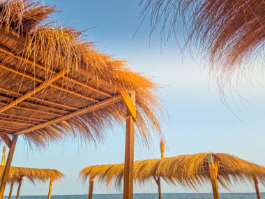 Hammamet, Tunus 'ta bir plajda manzara