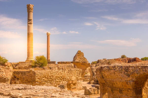 Археологический Объект Карфаген Тунис — стоковое фото