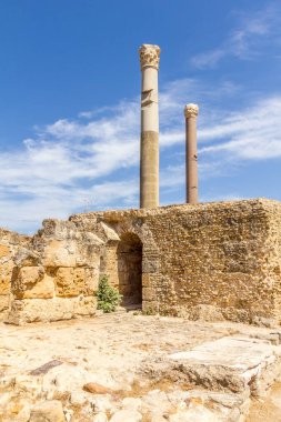 Arkeolojik Kartaca, Tunus