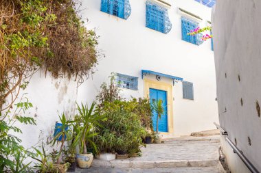 Sidi Bou Said köyü, Kartaca, Tunus