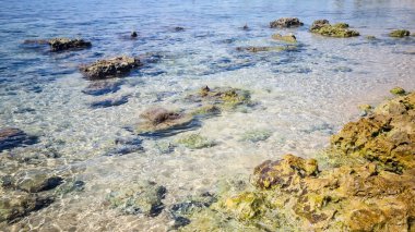 Hammamet, Tunus 'ta bir plajda manzara