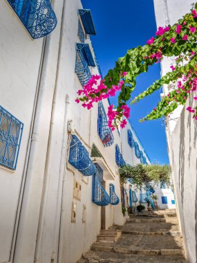 Sidi Bou Said köyü, Kartaca, Tunus
