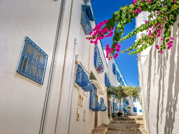 Деревня Сиди Саид Карфаген Тунис — стоковое фото