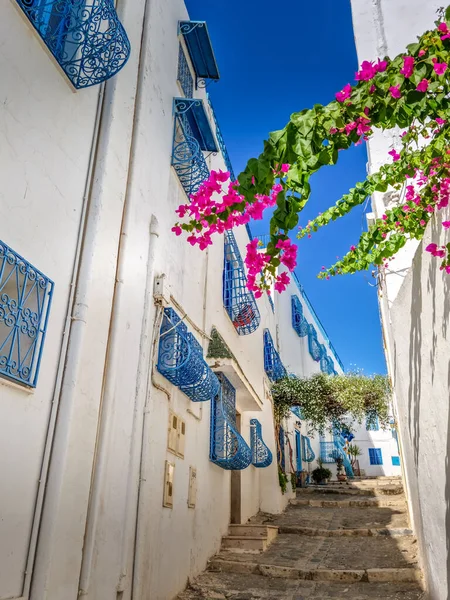 Villaggio Sidi Bou Said Cartagine Tunisia — Foto Stock