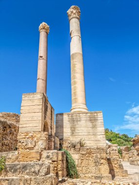 Arkeolojik Kartaca, Tunus