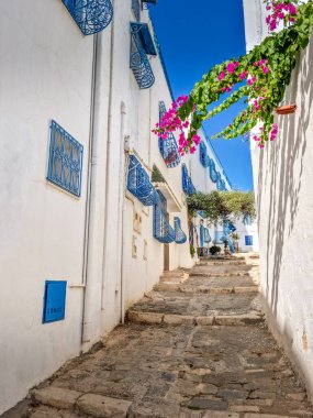 Sidi Bou Said köyü, Kartaca, Tunus