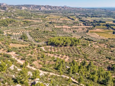 Fransa 'nın güneyindeki Les Beaux de Provence' deki şarap ve üzüm bağlarının hava manzarası.