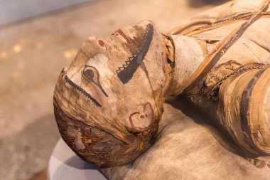 Mumya kafasının ayrıntıları.