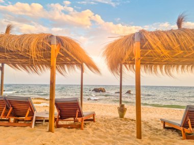 Hammamet, Tunus 'ta bir plajda manzara