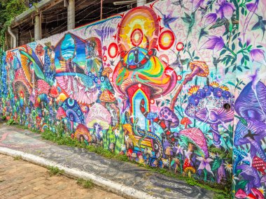 Sao Paulo, Brezilya - 27 Şubat 2024: Beco do Batman (Batman Geçidi) olarak bilinen bölgenin duvarlarında sanat çalışmaları. Bölge, sokaklardaki yoğun grafiti yoğunluğu nedeniyle popüler..