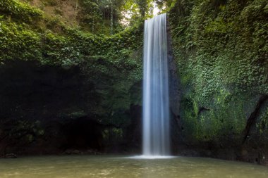 Waterfall in Ubud, Bali, Indonesia clipart