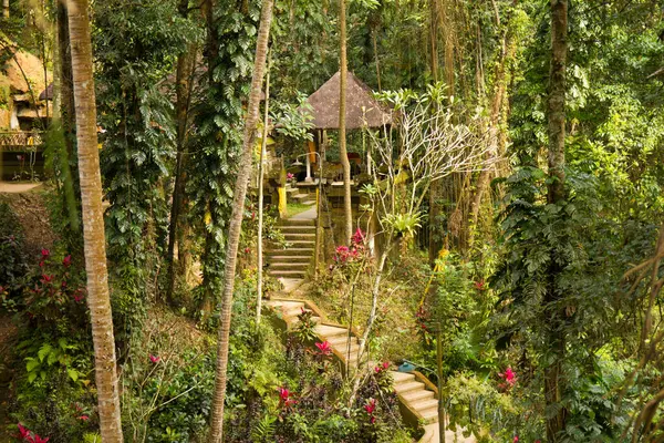 Zahrada Pura Goa Gajah Bali Indonésie — Stock fotografie