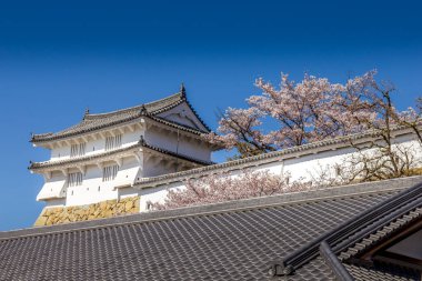 Kiraz çiçeği ve Japonya 'daki Himeji kalesi.