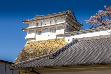 Kiraz çiçeği ve Japonya 'daki Himeji kalesi.