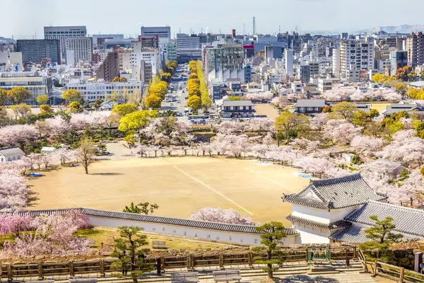Třešňový Květ Hrad Himeji Japonsku Stock Fotografie