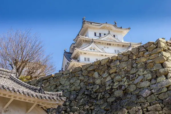 日本の桜と姫路城 ストック写真