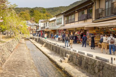 Miyajima Adası, Japonya - 13 Nisan 2019: İnsanlar ilkbaharda bir kanalda yürüyorlar. Ada, sokaklarda özgürce dolaşan birkaç tapınağı ve geyiği ile ünlüdür..