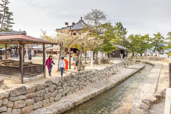 Ilha Miyajima Japão Abril 2019 Pessoas Andando Por Canal Durante Imagens De Bancos De Imagens