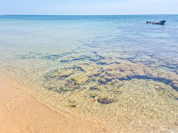 Landskap Strand Hammamet Tunisien Stockbild