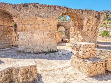 Archaeological site of Carthage, Tunisia clipart