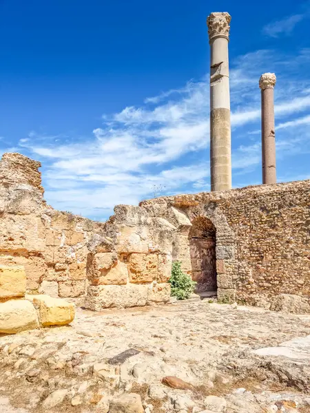 stock image Archaeological site of Carthage, Tunisia