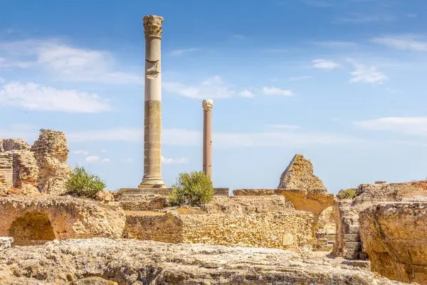 Arkeologisk Sted Kartago Tunisia stockfoto